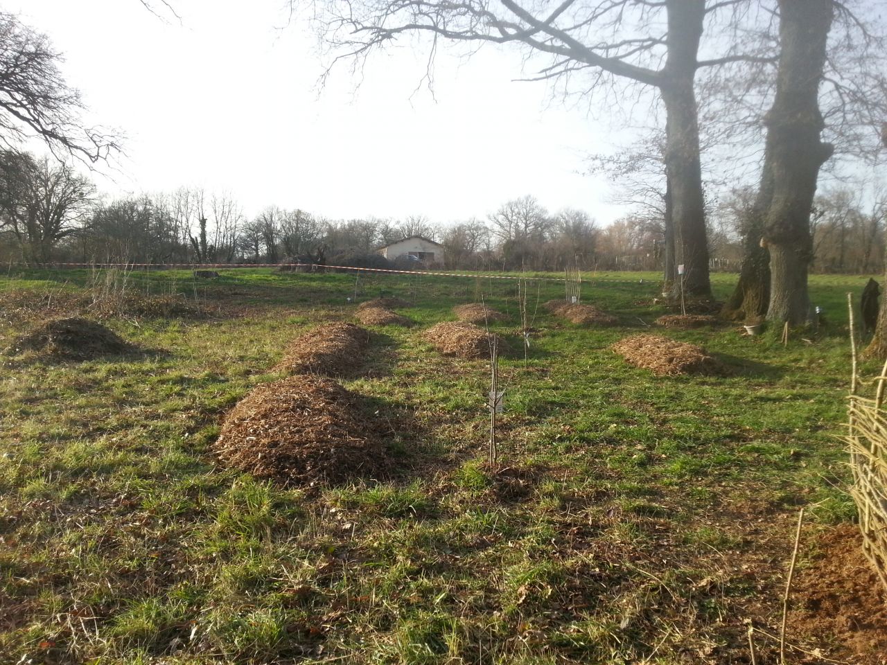 les butes du potager