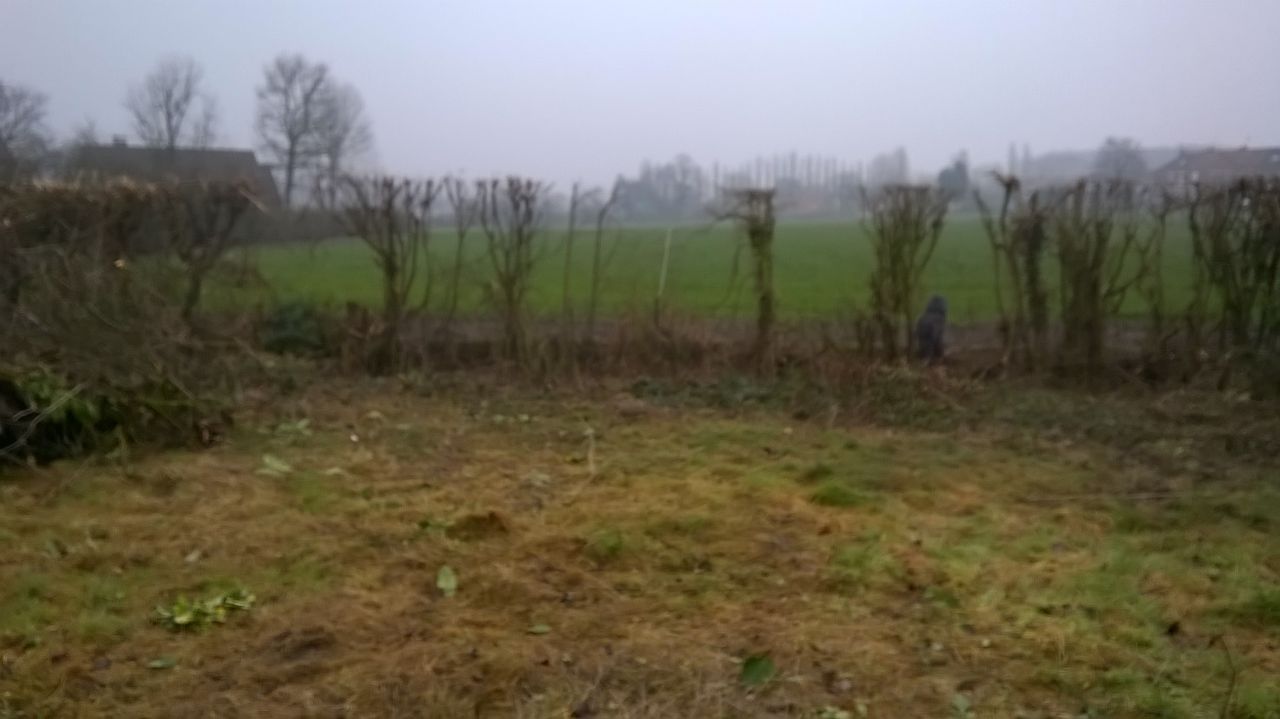 La vue sur les champs se dgage