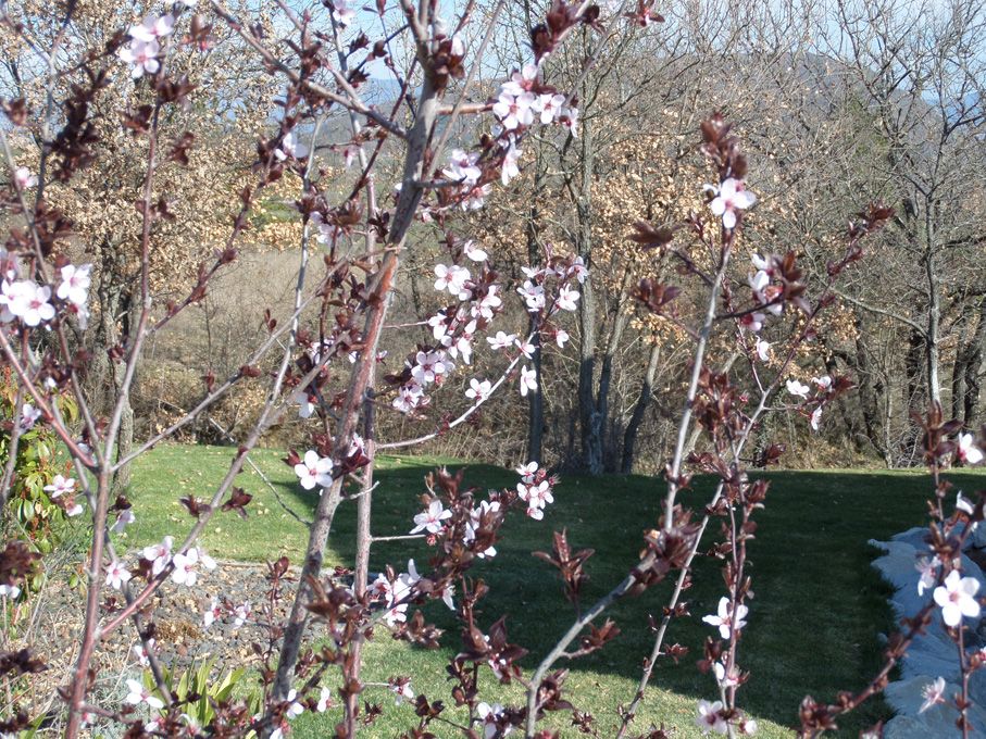 A quelques jours du printemps...