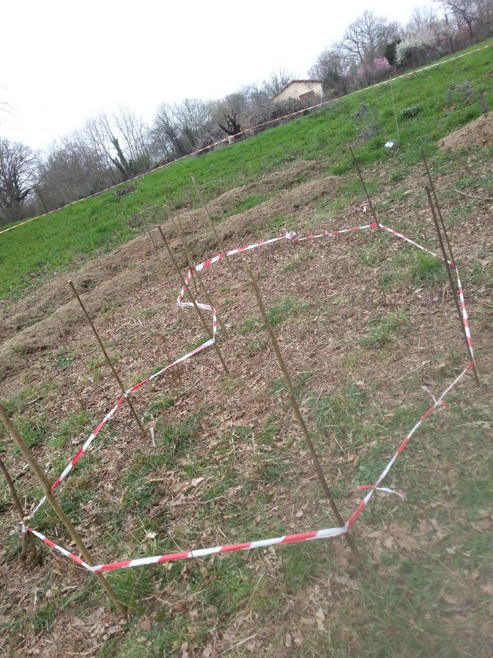 1ère séance pour creuser le point d'eau du potager
