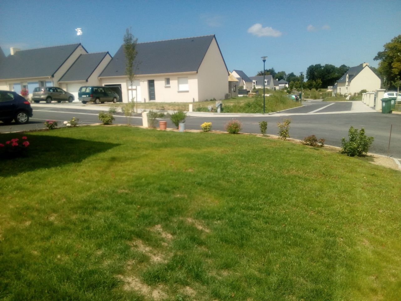 la pelouse qui pousse