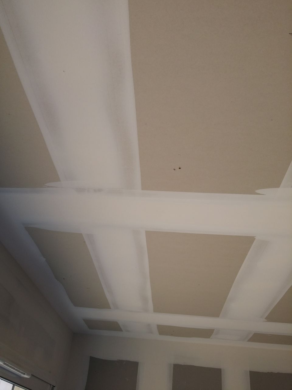 Un spécimen d'épluchures au plafond parmi d'autres. Bizarrement les murs sont nettement plus sain, certainement un champignon qui aime la chaleur des plafonds.