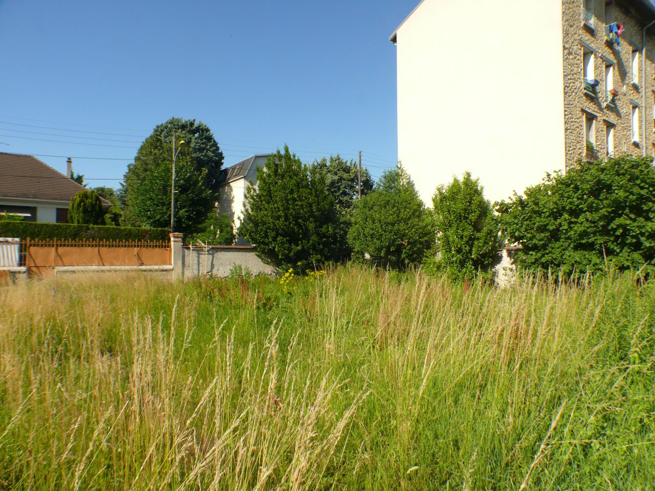 Dernire photo du terrain avant le passage du terrassier