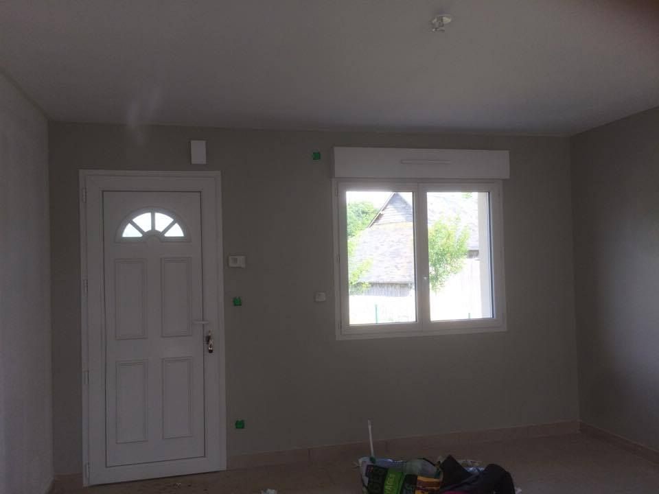 peinture couleur daim