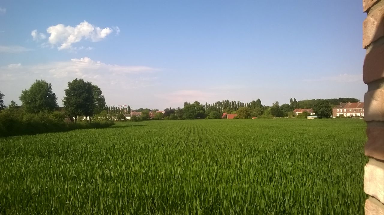 Vue de la chambre parentale