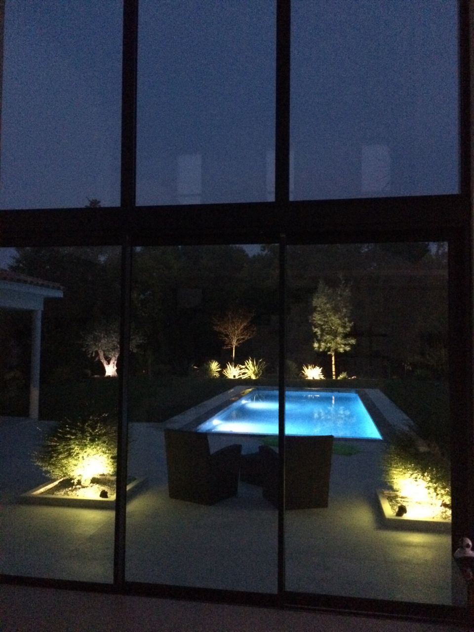 Éclairage piscine/jardin - Olivier, prunus, mimosa