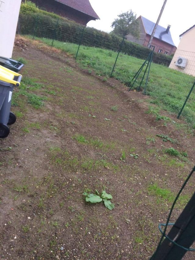 clôture terminée et l'herbe semée commence à pousser !!!!