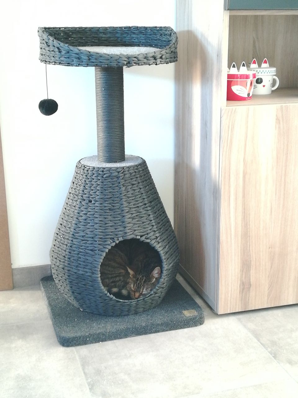 Arbre à chats