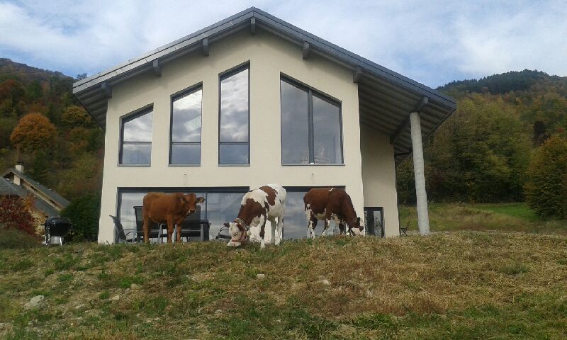 Bonus vaches