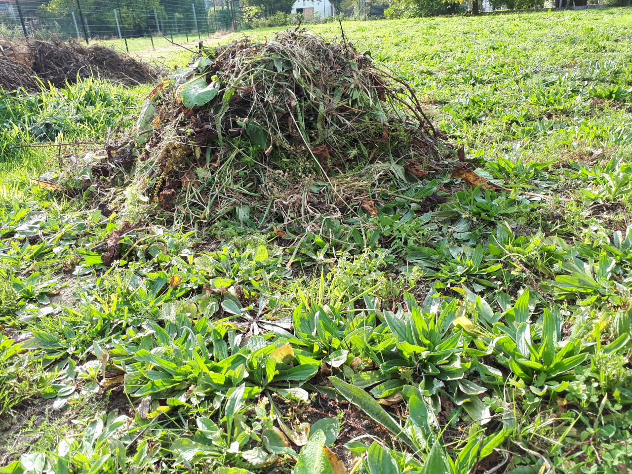 Tas de saleté enlevé sur le pourtour de la maison avant VRD