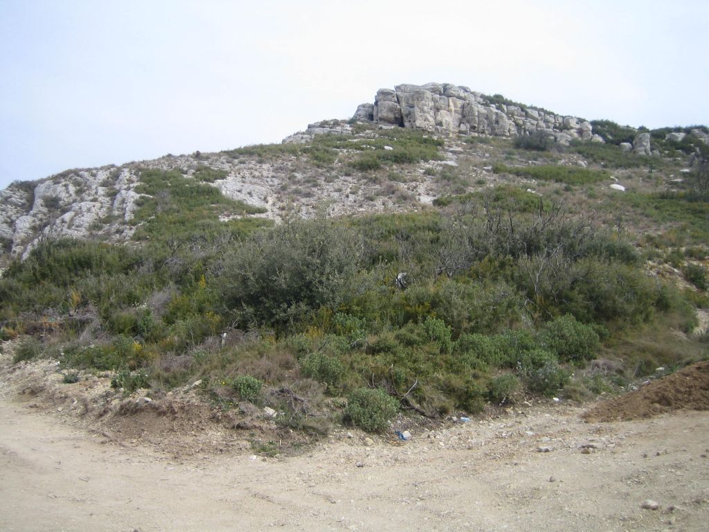 Vue depuis le point le plus bas du terrain. L'accès véhicule se trouve sur la gauche de cette photo.