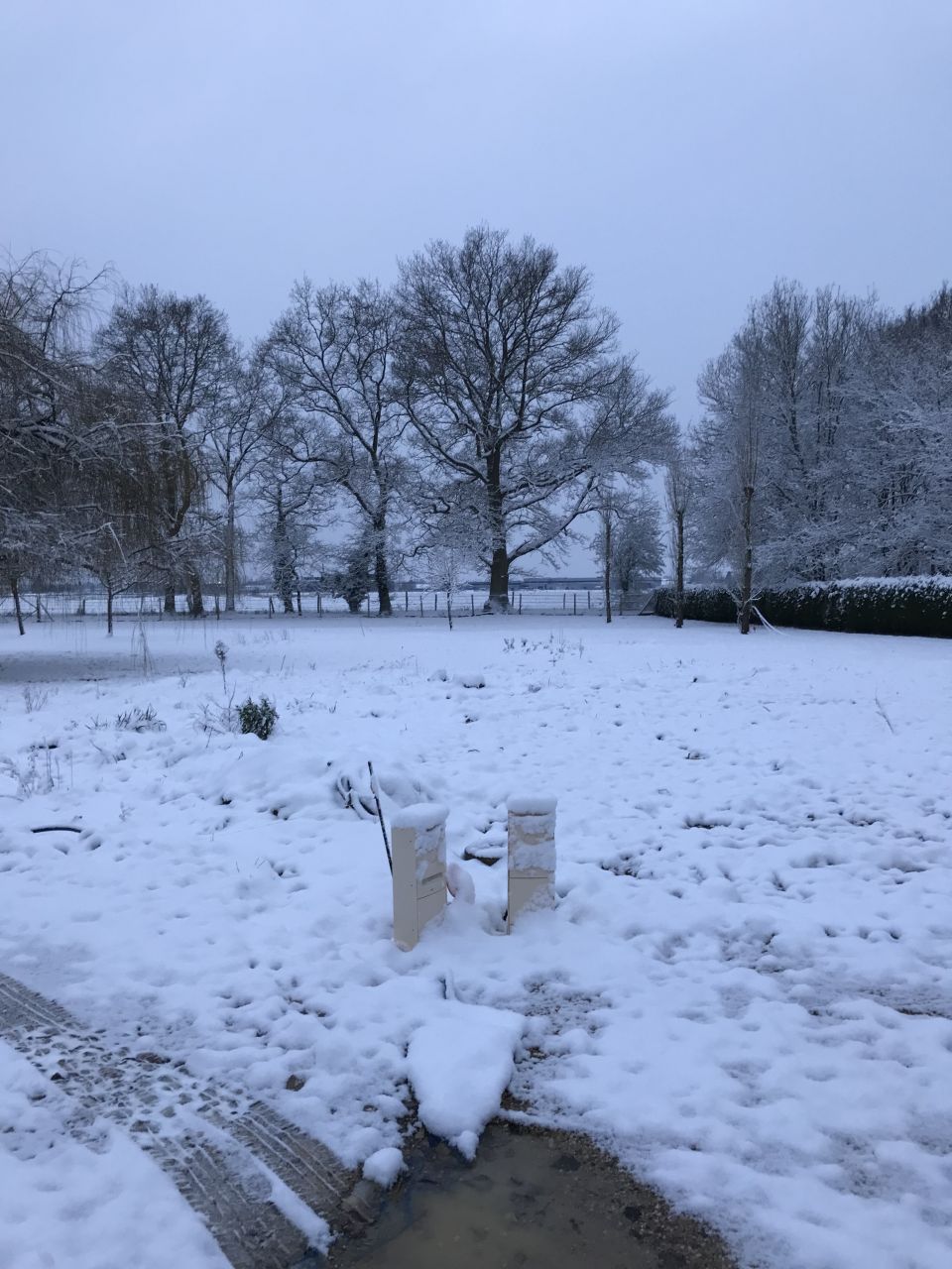 Effectivement un peu de neige aujourd'hui