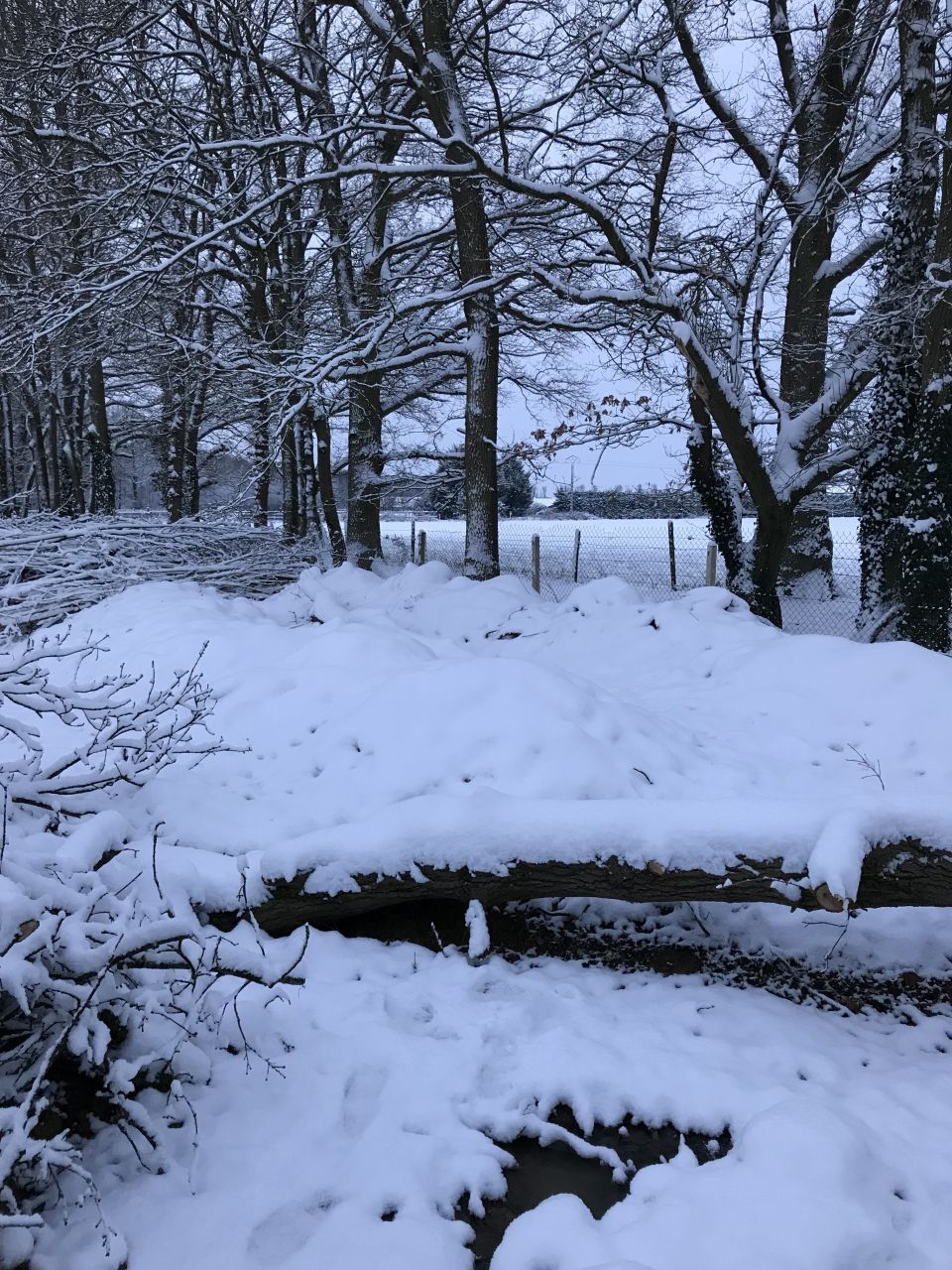 Effectivement un peu de neige aujourd'hui