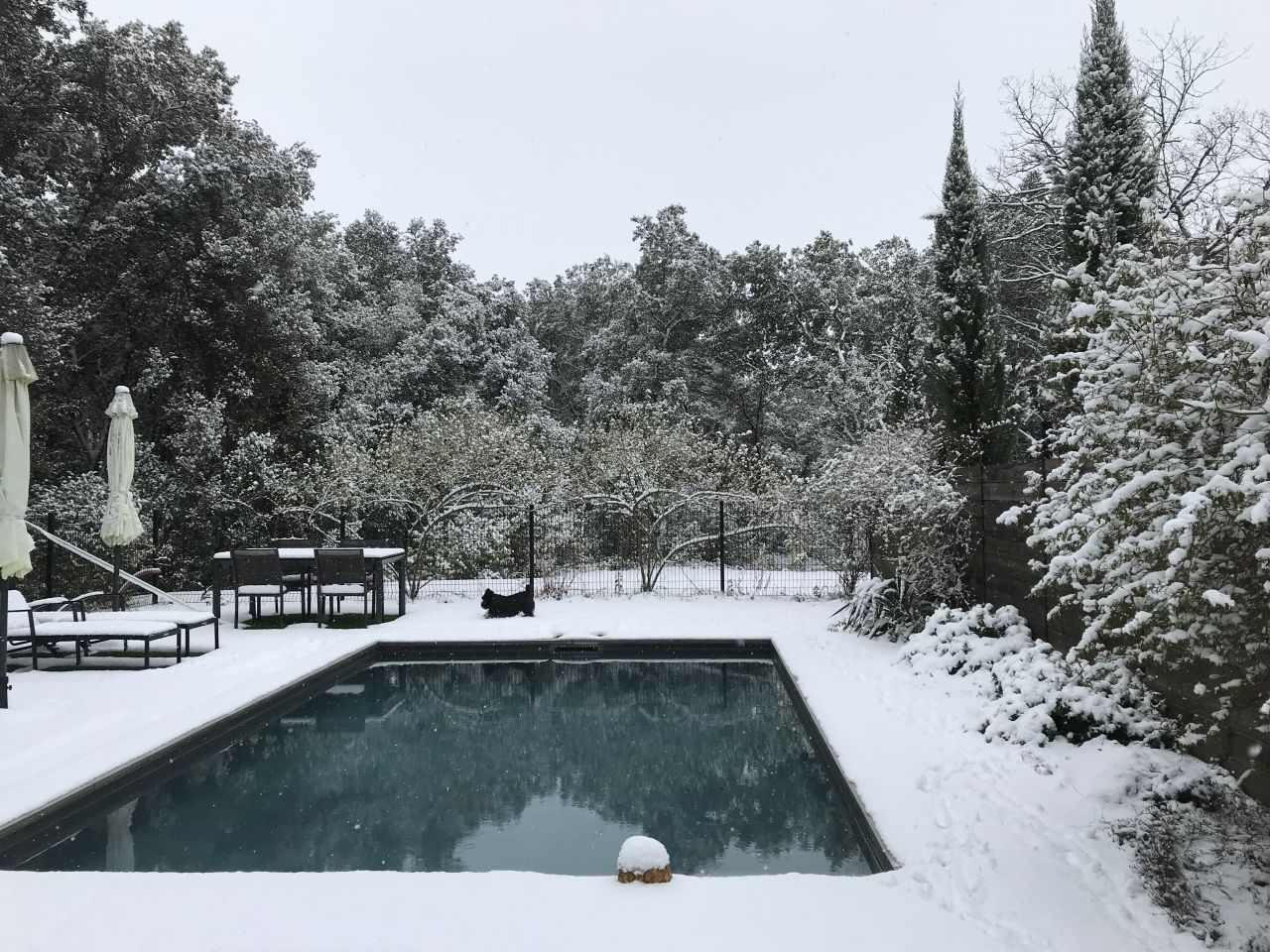 Jour de Neige  Uzs. Il ne fallait pas rater a, c'est rare!