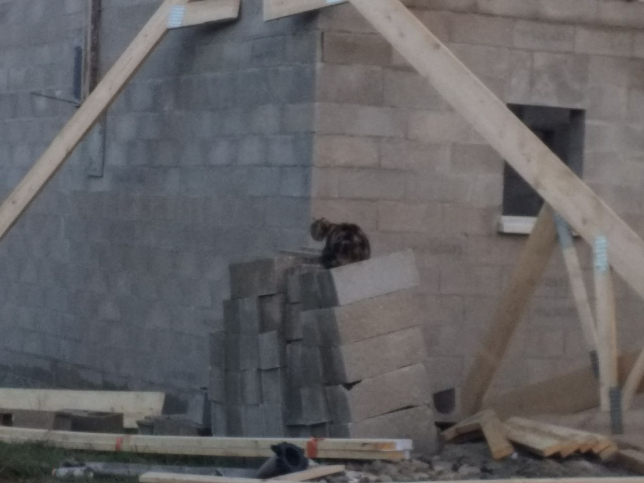 Un visiteur sur le chantier