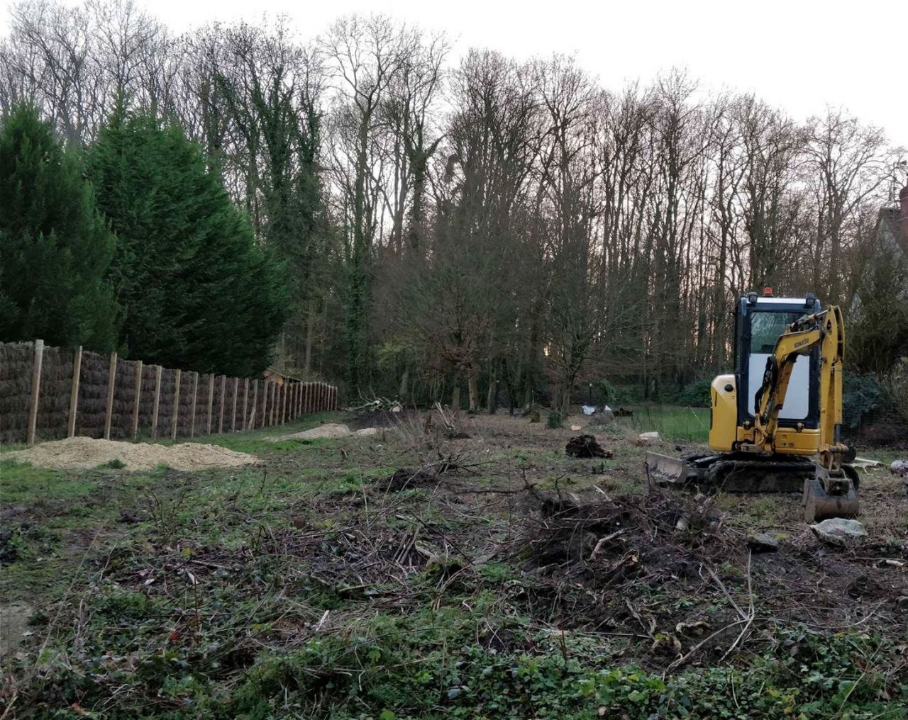 abattage des arbres