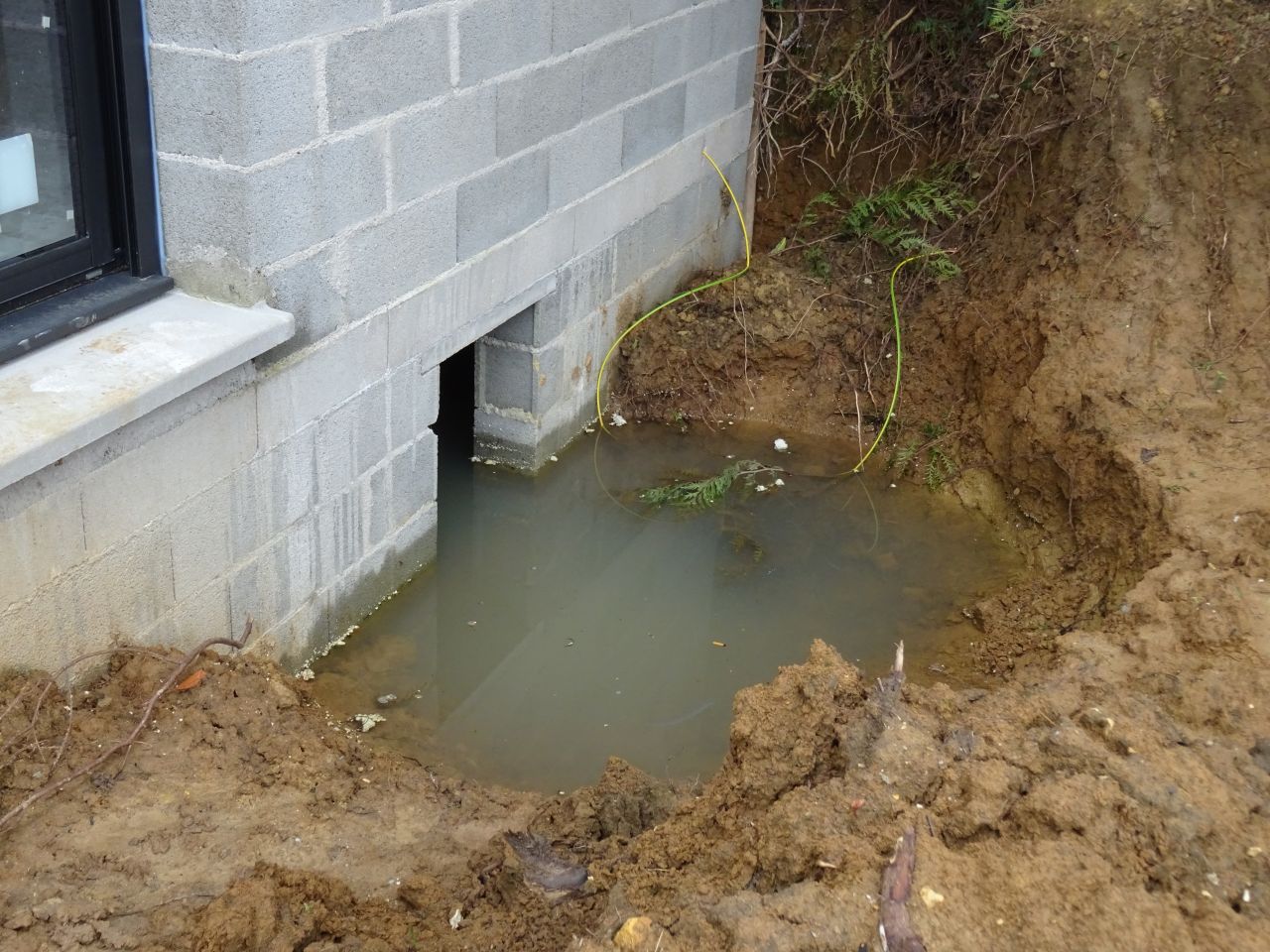 Vide sanitaire du voisin inond : problmatique ou a sert  a ?