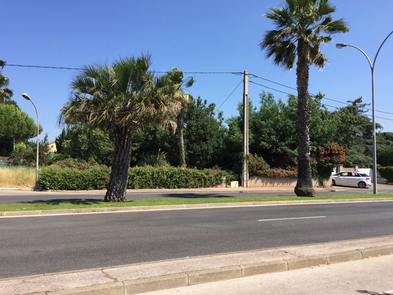 Vue du terrain depuis la route (cach derrire les arbres), le portail est devant la voiture blanche  droite de la photo.