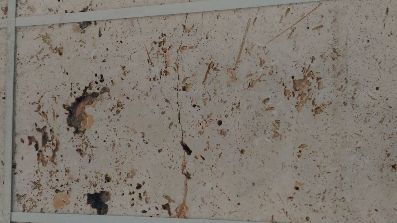 1ère livraison