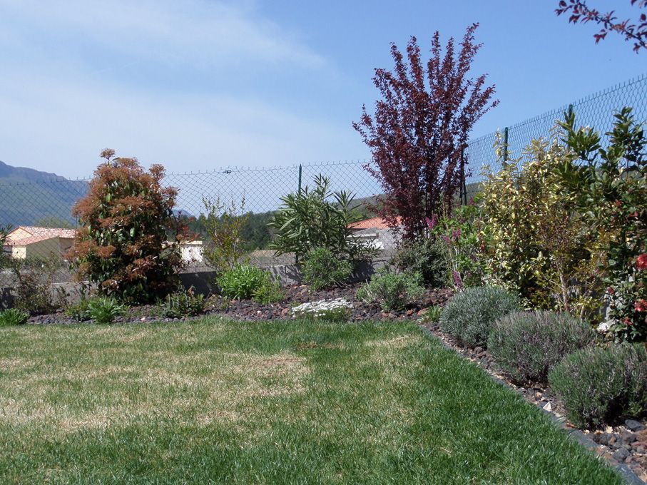 Après la tonte, un petit aperçu du jardin