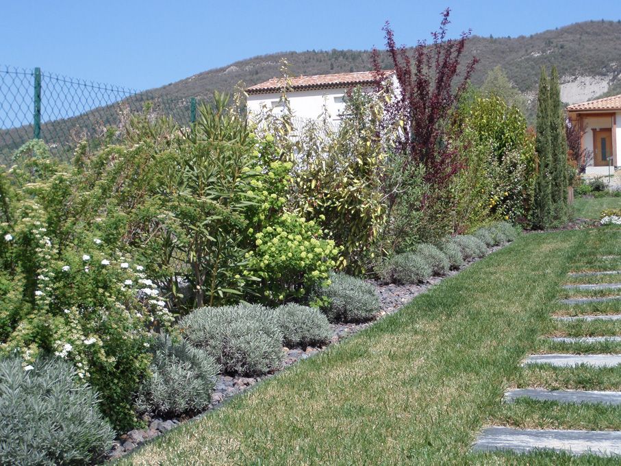 Après la tonte, un petit aperçu du jardin