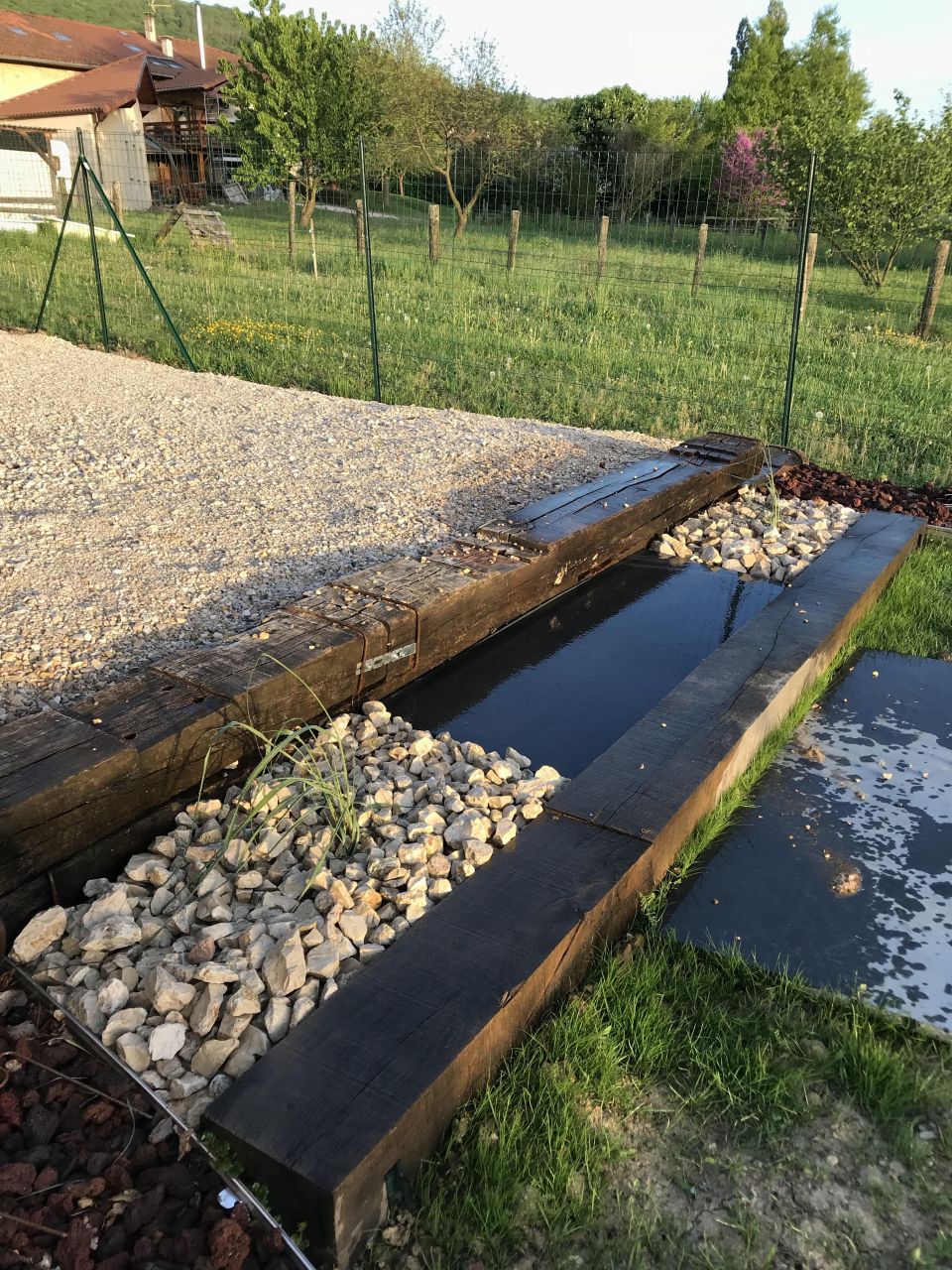 Paillage concassé beige avec graminées et Ligustrum