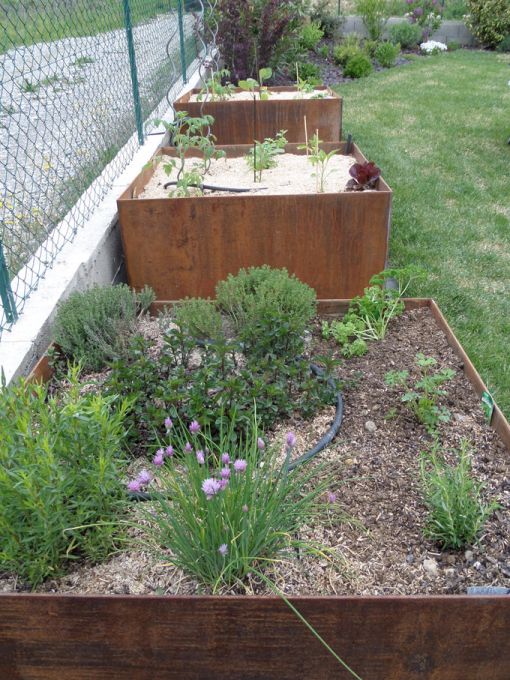 Carrés potagers