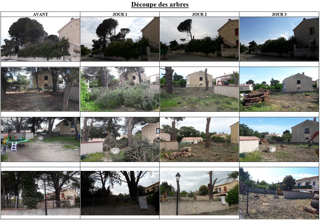 Découpe des Arbres (Step by Step)