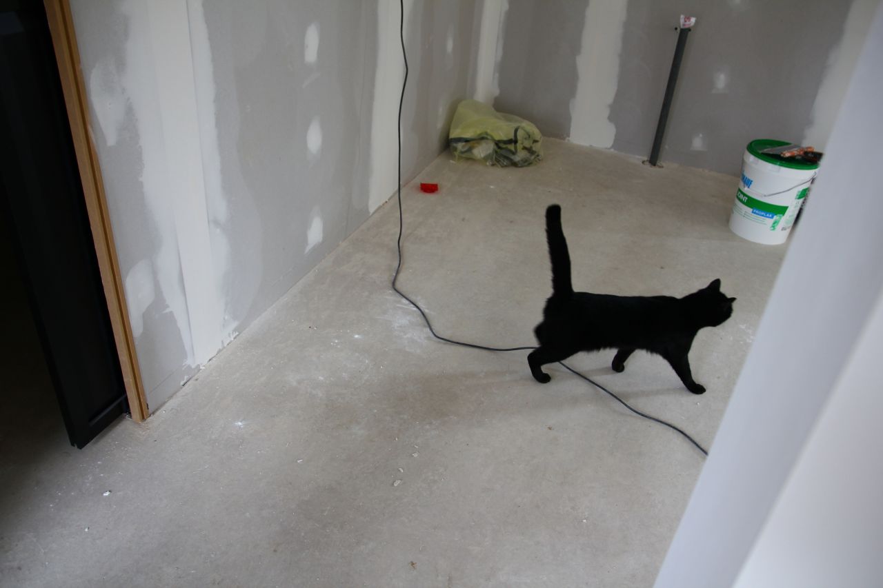 notre petite chatoune