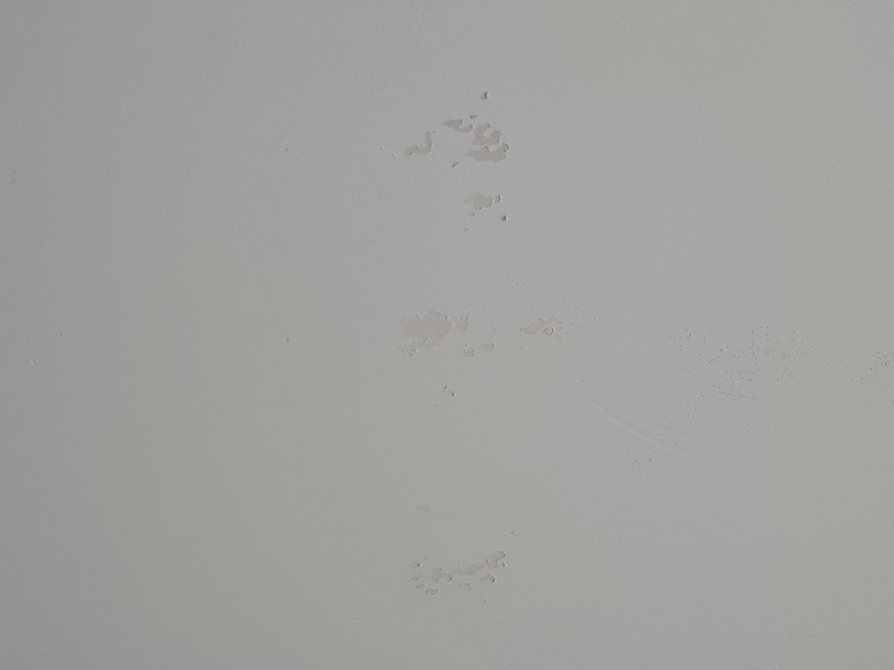 Cloques au niveau d'une bande lors du passage de la 1ère couche de peinture