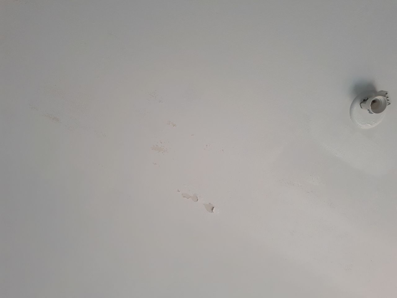 Cloques au niveau d'une bande lors du passage de la 1ère couche de peinture