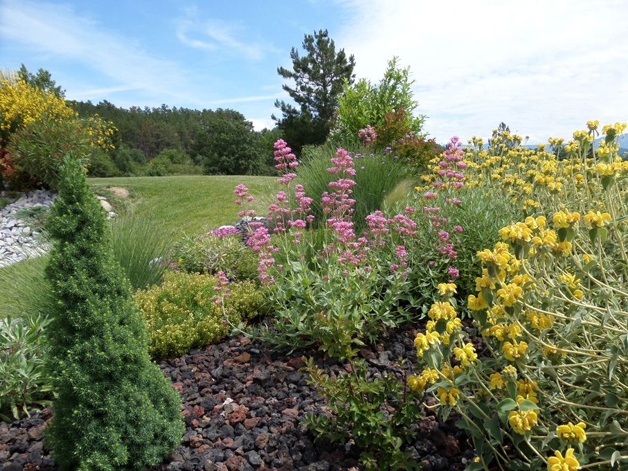 Les floraisons au 03 juin 2018