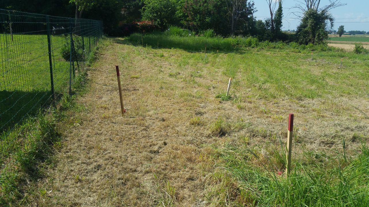 Pose des piquets pour dfinir l'implantation