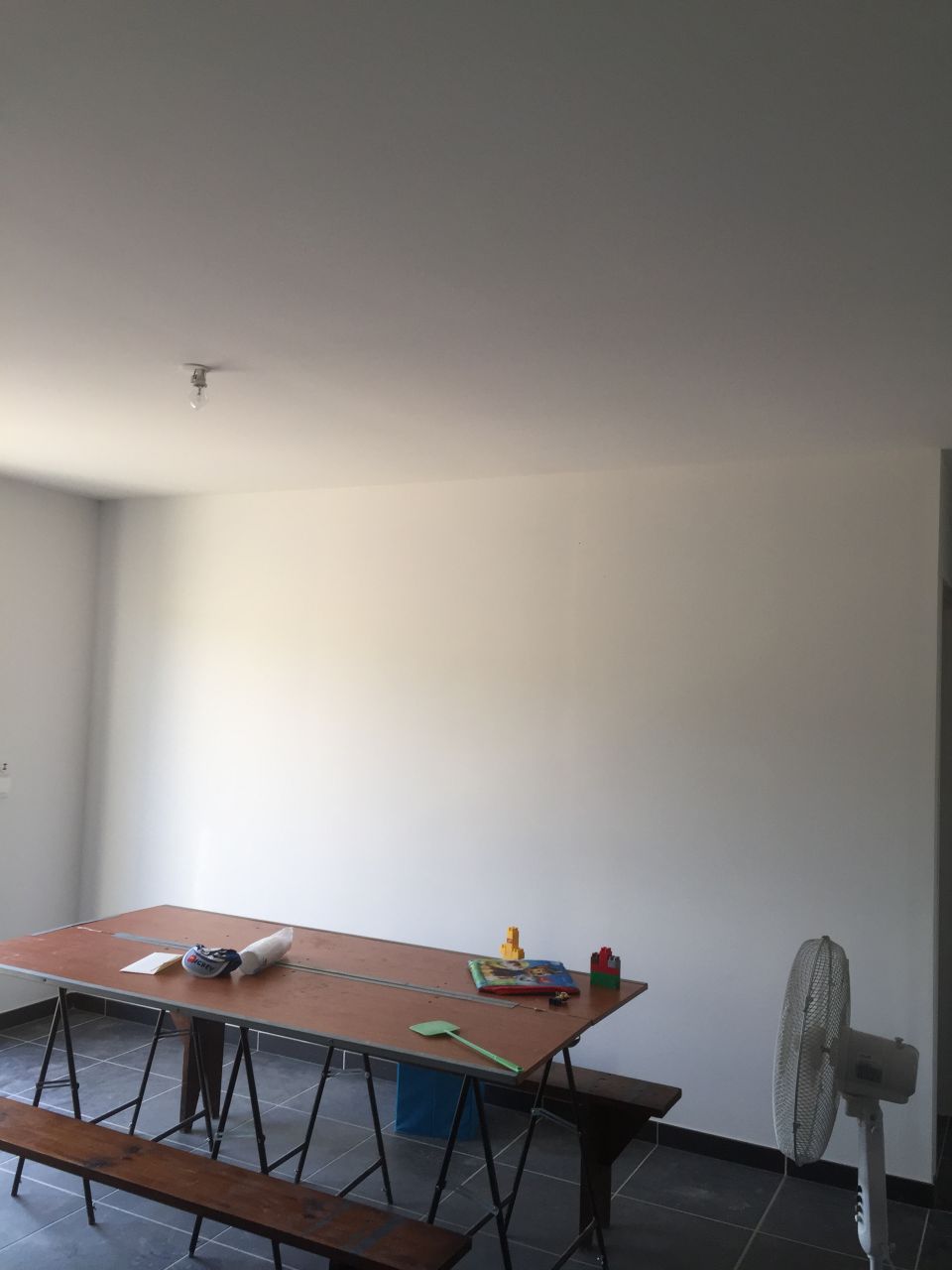 Peinture terminée SAM