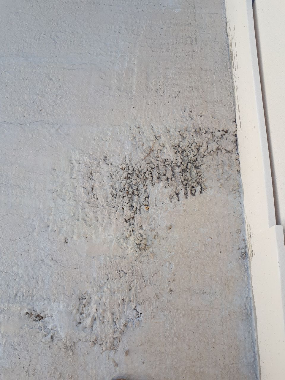 Béton non lissé !