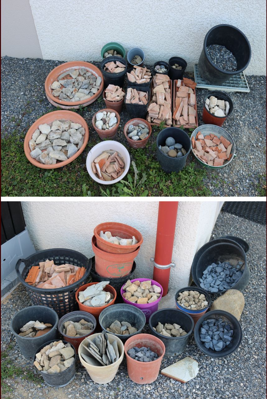 Tri de pierres de récup pour futurs paillages