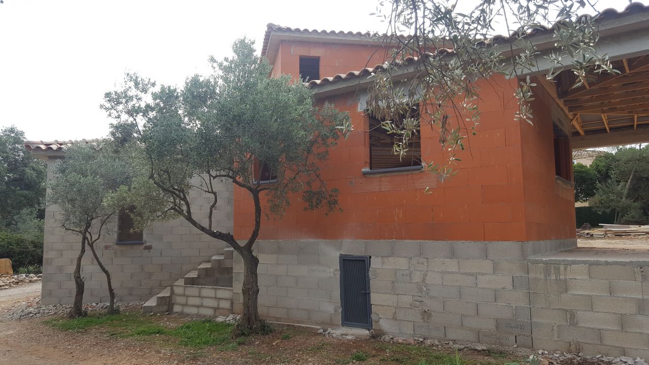 Porche d'entrée, escalier et jardinière