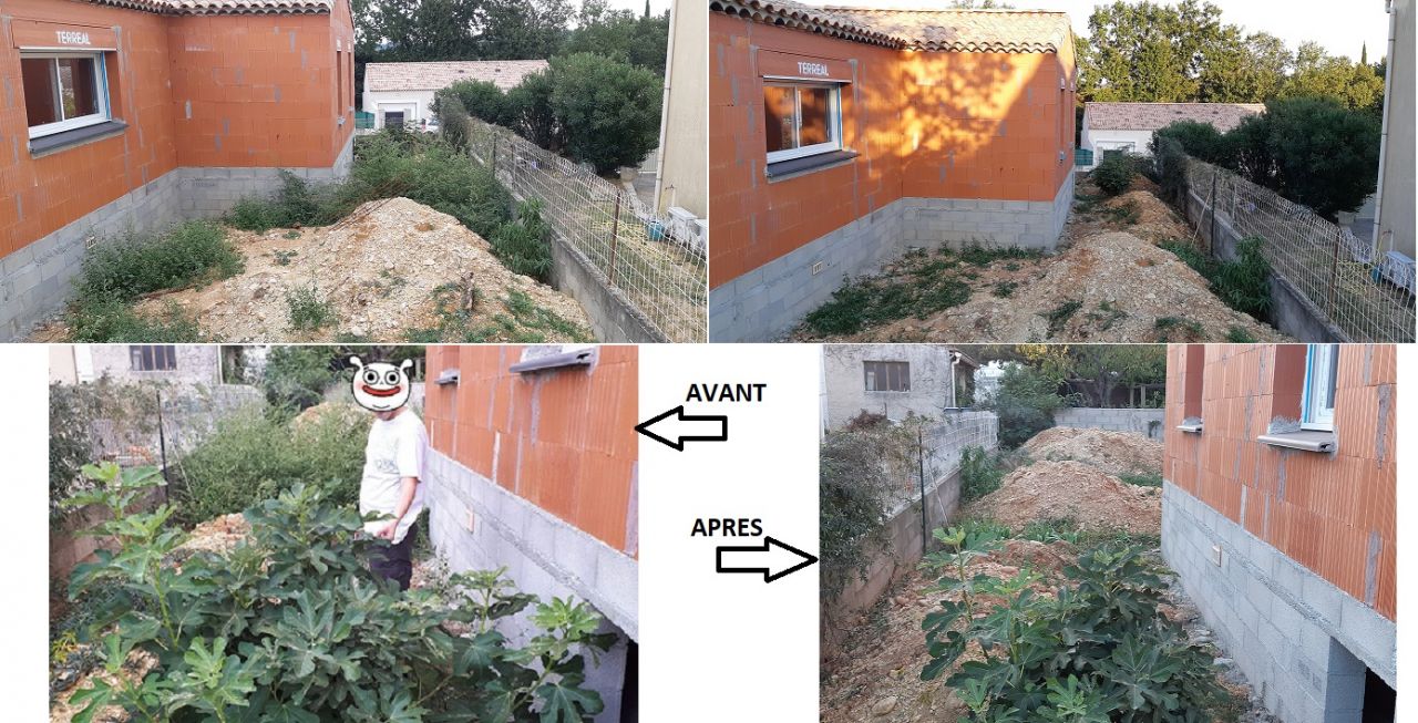 Débroussaillage autour de la maison
