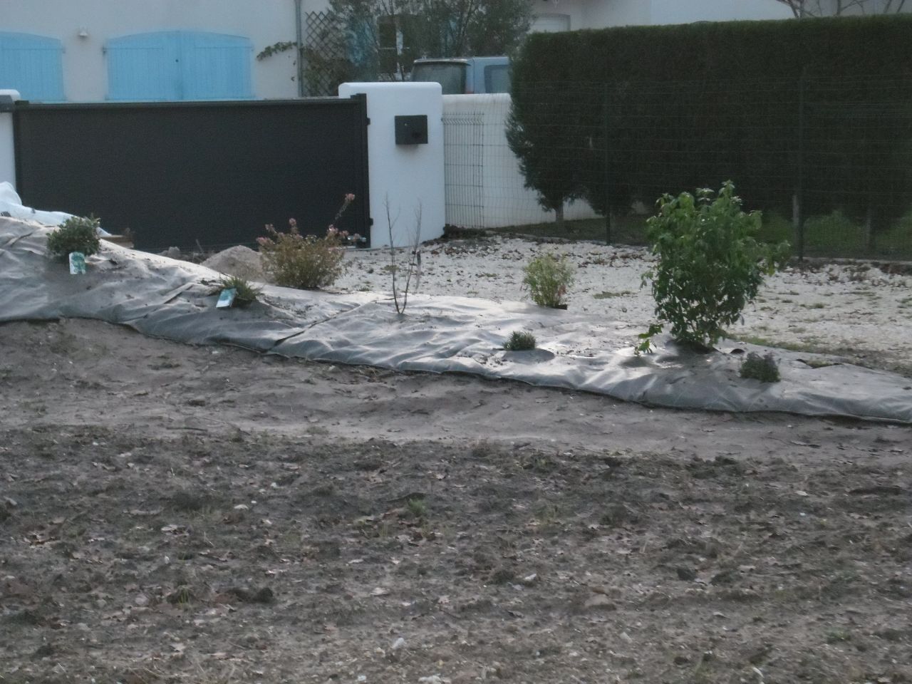 Plantation en cours