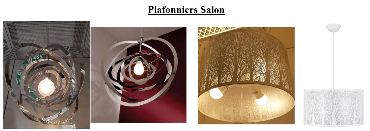 Planche : Plafonnier du Salon