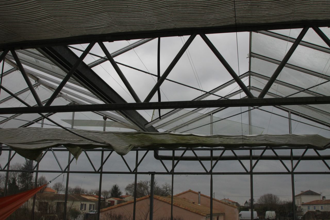 Dégâts visibles de la tempête du 29 janvier 2019