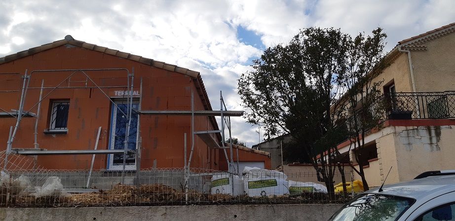 Bosquet à l'entrée - APRES