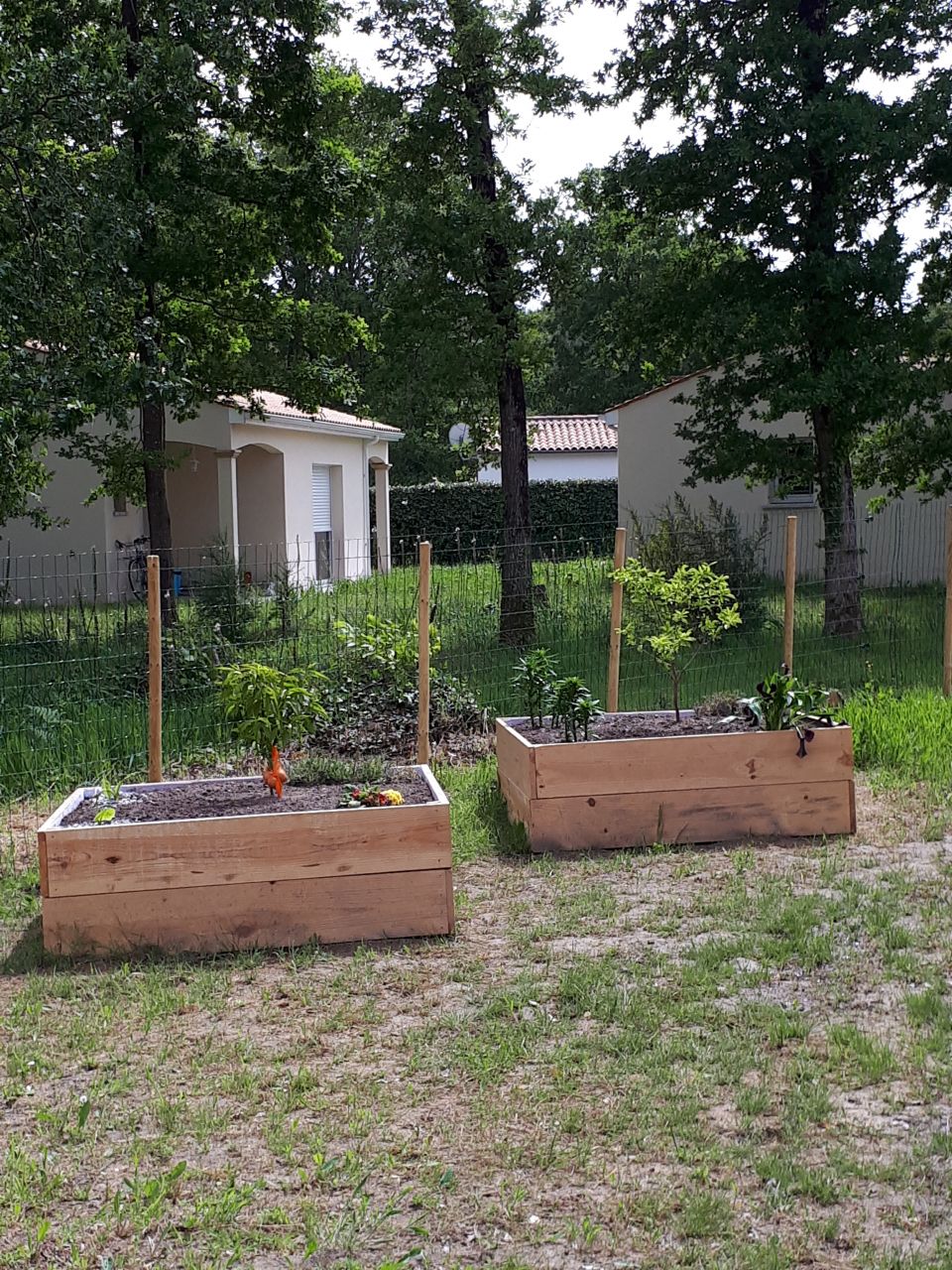 Mes carrés de jardin