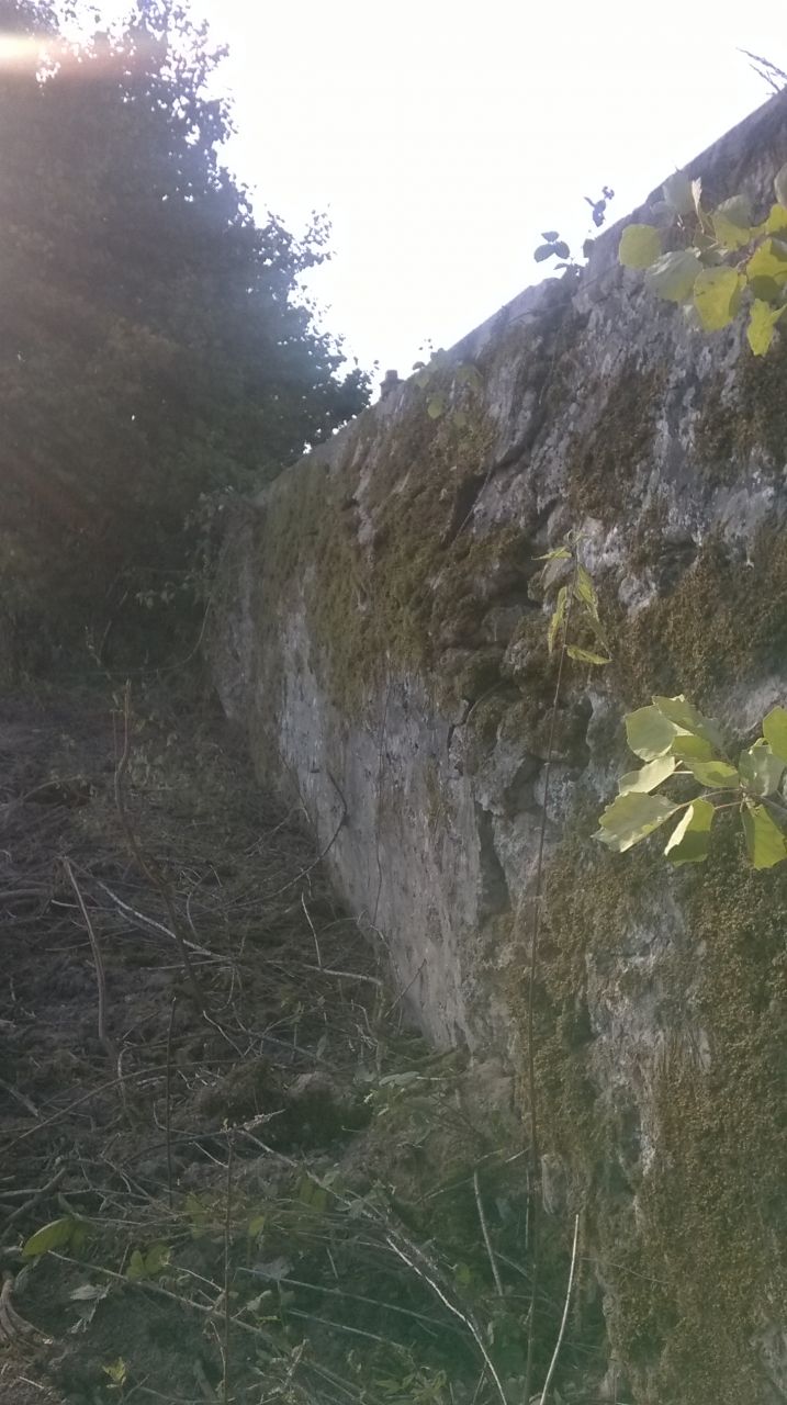 Mur en fond de parcelle du lot 4: on constate un net gonflement