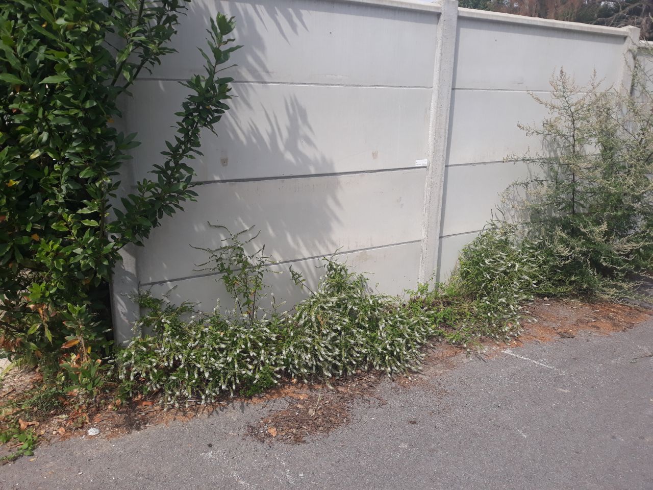 Tracé pour la saignée dans notre cloison de béton (5cm) afin de poser le boitier ENEDIS (mur vu de l'extérieur AVANT)