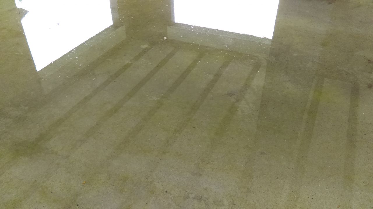 Les maçons d'à coté qui ont fait de ma dalle une piscine... On a de la verdure dans le salon maintenant... Mousse ? Algues ? Phytoplancton (nan, j'déconne) ?