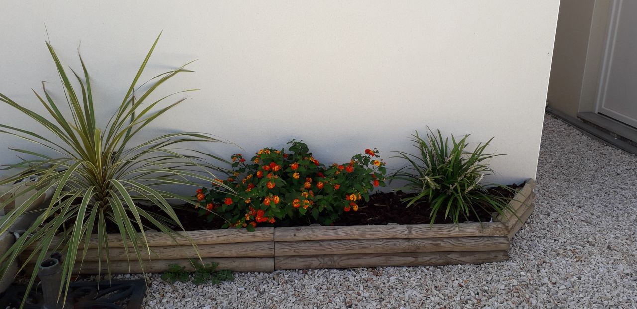 Un peu de plantes devant la maison à droite !