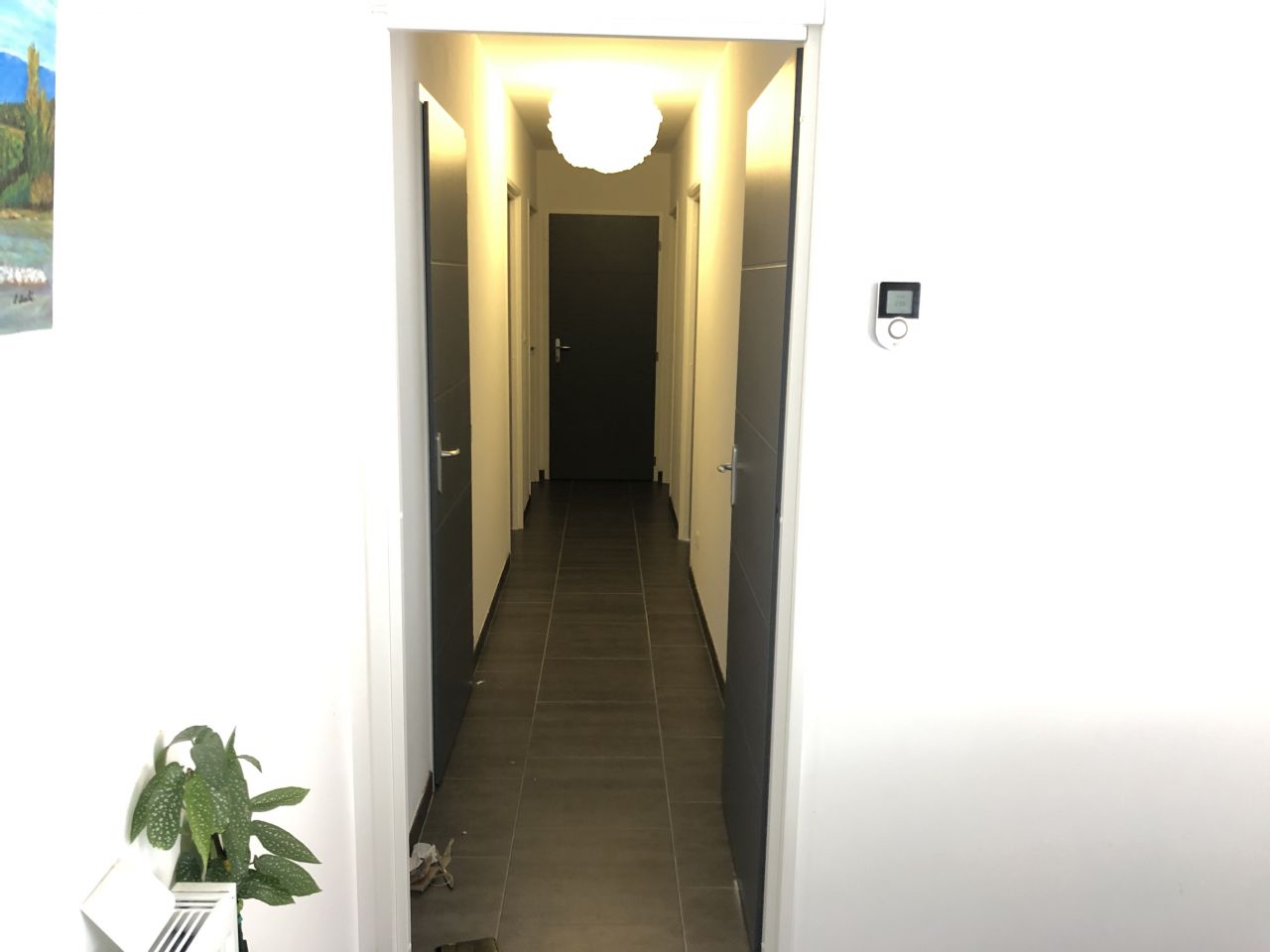 Les peintures des portes