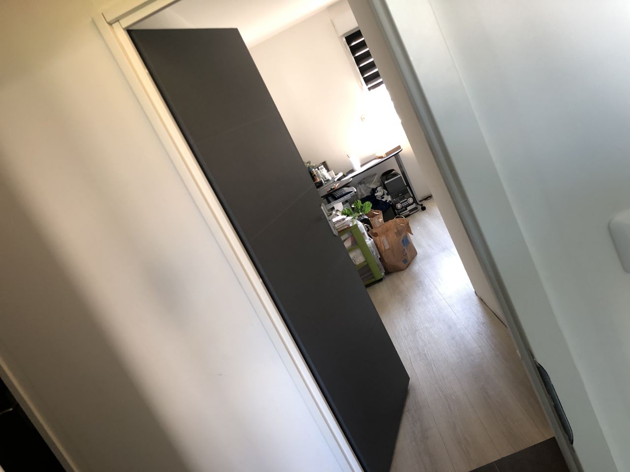 les Peintures des portes