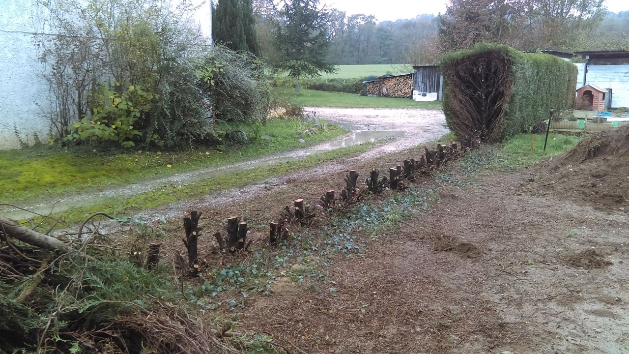 Fin de l'abattage.